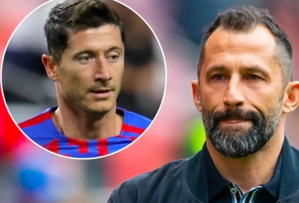 使用辅助性 使用辅助性