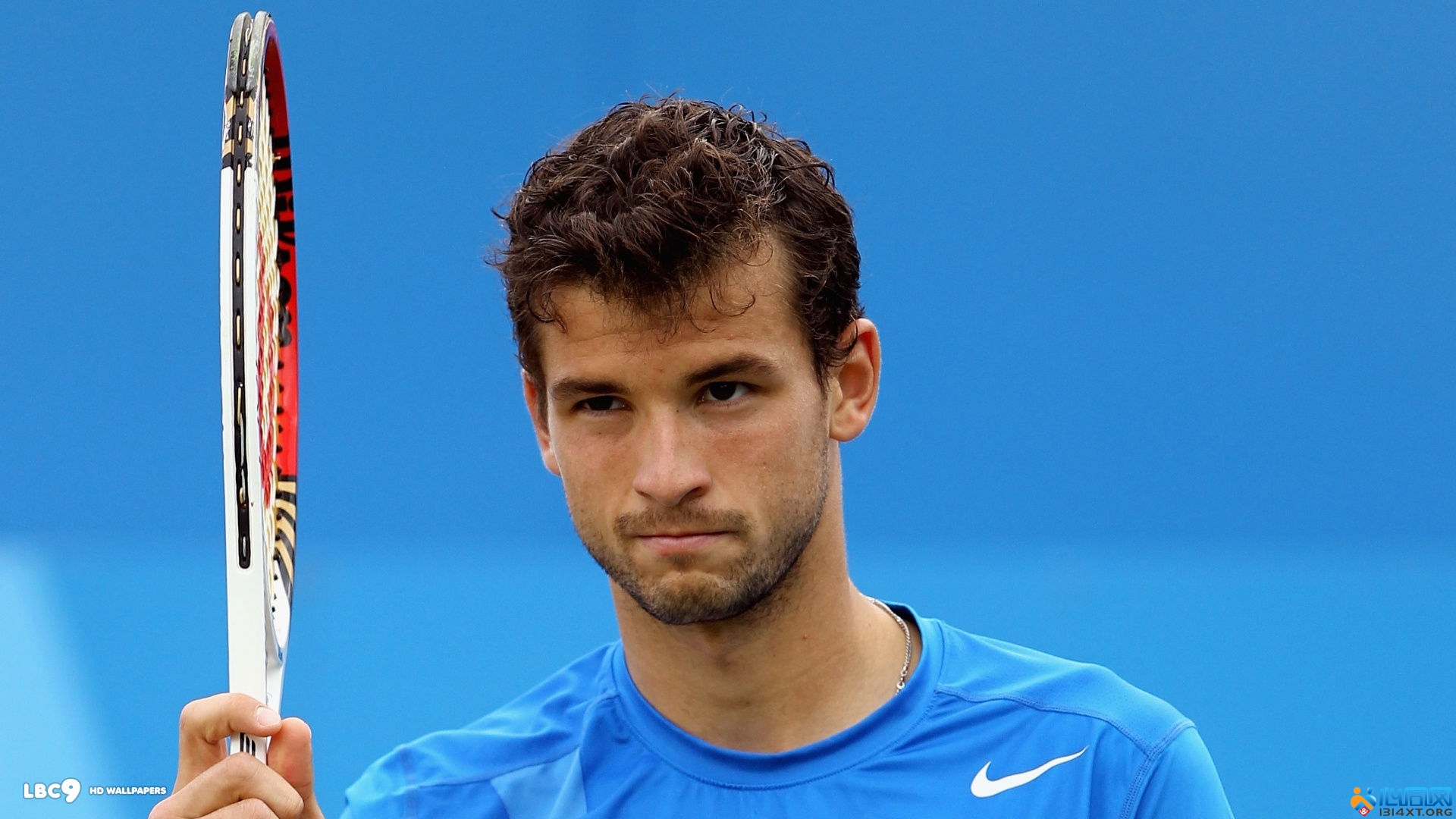 已着手引进 已着手引进